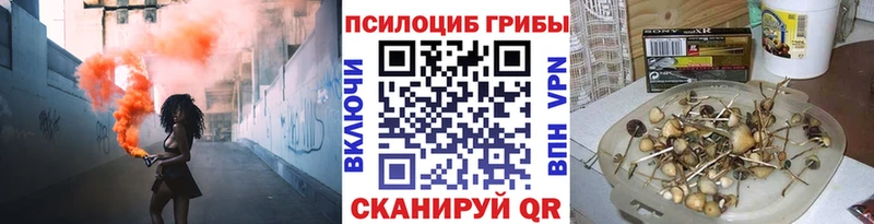 Псилоцибиновые грибы прущие грибы Купить где Энем