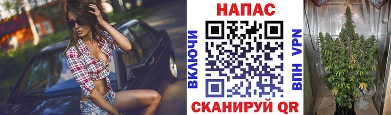 Купить  Энем  Канабис Amnesia 